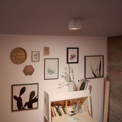 Philips - LED hämardatav kohtvalgusti LED/4,5W/230V