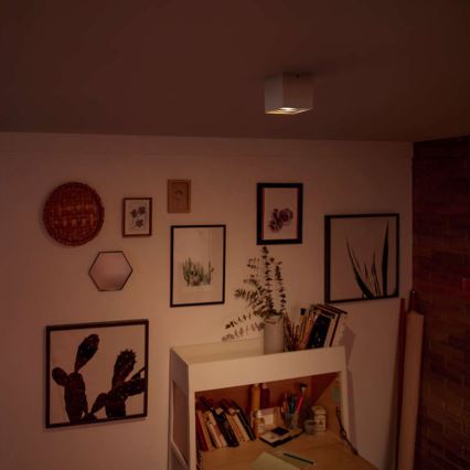 Philips - LED hämardatav kohtvalgusti LED/4,5W/230V