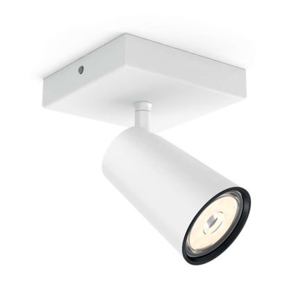 Philips - LED Kohtvalgusti 1xGU10/5,5W/230V