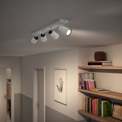 Philips - Kohtvalgusti 4xGU10/5,5W/230V