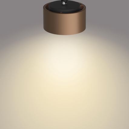 Philips 50654/05/P0 - LED Kohtvalgusti FERANO 4xLED/4,3W/230V