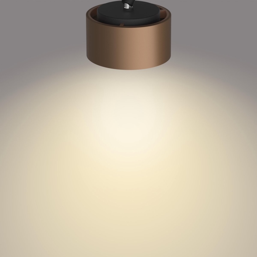 Philips 50654/05/P0 - LED Kohtvalgusti FERANO 4xLED/4,3W/230V