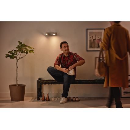 Philips 53192/48/P0 - LED Kohtvalgusti MILLENNIUM 2xLED/4,5W/230V