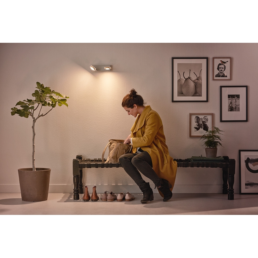 Philips 53192/48/P0 - LED Kohtvalgusti MILLENNIUM 2xLED/4,5W/230V