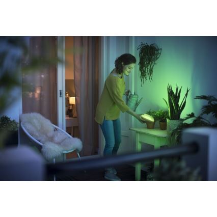 Philips 70104/31/P0 - LED RGB Hämardatav kaasaskantav lamp CAMELLIA LED/3W/5V