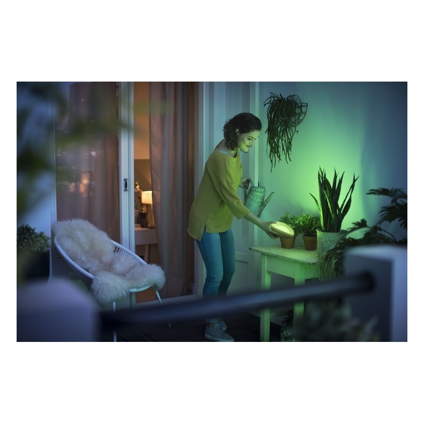 Philips 70104/31/P0 - LED RGB Hämardatav kaasaskantav lamp CAMELLIA LED/3W/5V