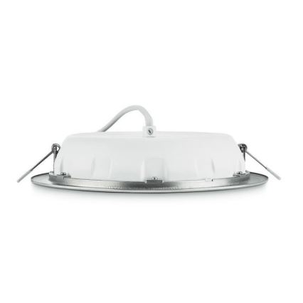 Philips - LED süvistatav laevalgusti LED/20W/230V