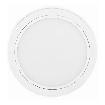 Philips 80088/31/16 - LED ripplaevalgusti MYLIVING RASTABAN 1xLED/20W/230V