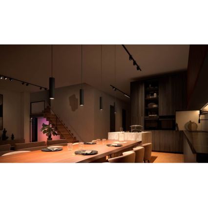 Philips - hämardatav LED RGB rippvalgusti kaablil liistvalgustussüsteemile Hue PERIFO LED RGB/5,2W/24V 2000-6500K