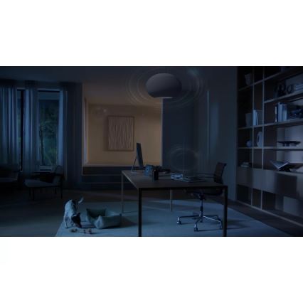 Philips - Hue BRIDGE PRO ühendusseade, must