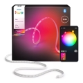Philips - Hue FLUX LED RGBW hämardatav valgusriba 10m LED/60W/230V 2200-6500K
