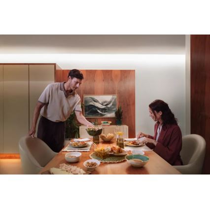 Philips - Hue FLUX LED RGBW hämardatav valgusriba 10m LED/60W/230V 2200-6500K