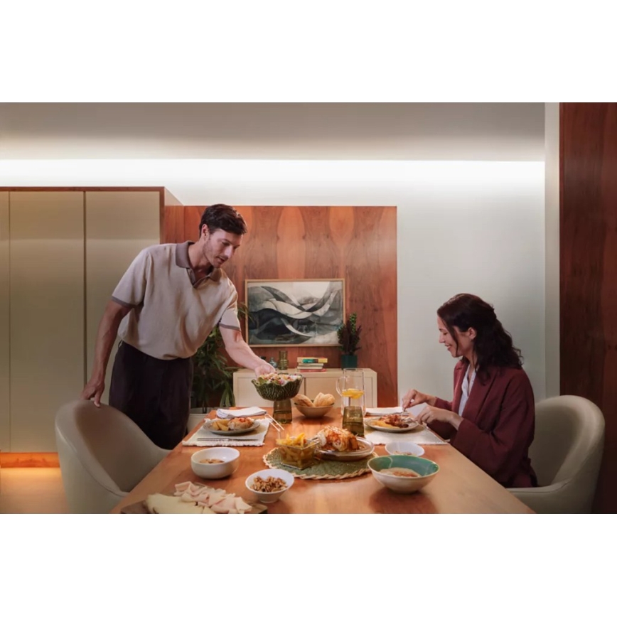 Philips - Hue FLUX LED RGBW hämardatav valgusriba 10m LED/60W/230V 2200-6500K