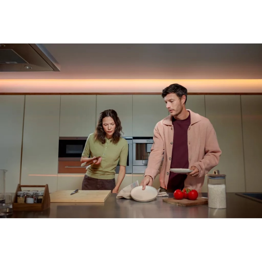Philips - Hue FLUX LED RGBW hämardatav valgusriba 10m LED/60W/230V 2200-6500K