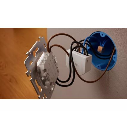 Philips - Hue kahenupulise seinalüliti moodul