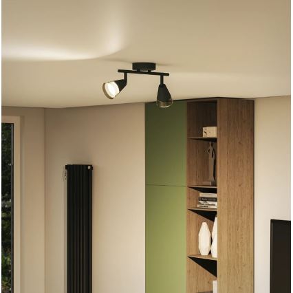 Philips - Kohtvalgusti CLEFT 2xGU10/5W/230V