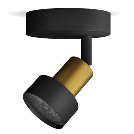 Philips - Kohtvalgusti CONDUIT 1xGU10/5W/230V must/messing