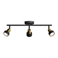 Philips - Kohtvalgusti CONDUIT 3xGU10/5W/230V must/messing