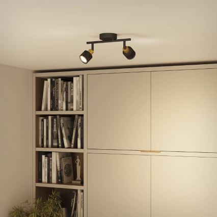 Philips - Kohtvalgusti NIALL 2xGU10/5W/230V must/messing