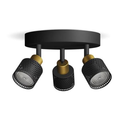 Philips - Kohtvalgusti NIALL 3xGU10/5W/230V must/messing