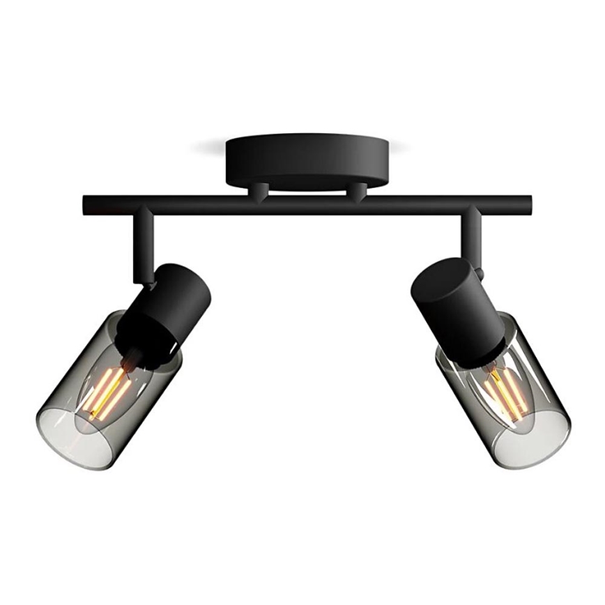 Philips - Kohtvalgusti PALMS 2xE14/25W/230V