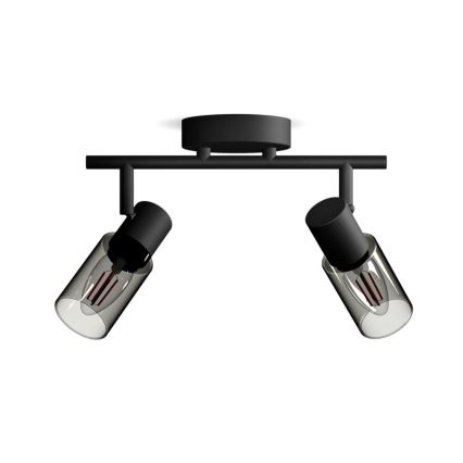 Philips - Kohtvalgusti PALMS 2xE14/25W/230V