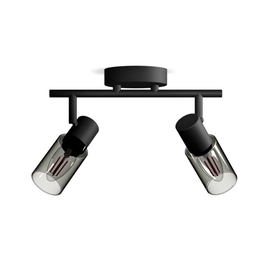 Philips - Kohtvalgusti PALMS 2xE14/25W/230V