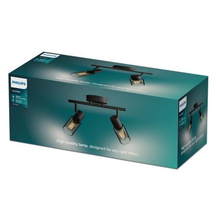 Philips - Kohtvalgusti PALMS 2xE14/25W/230V