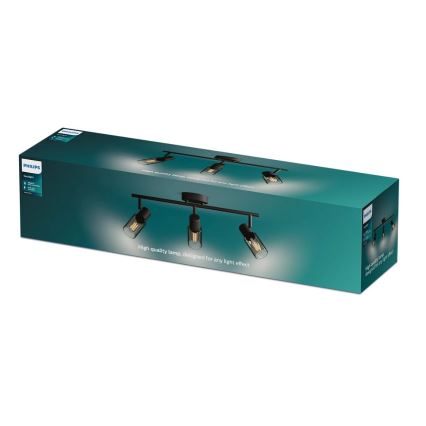 Philips - Kohtvalgusti PALMS 3xE14/25W/230V