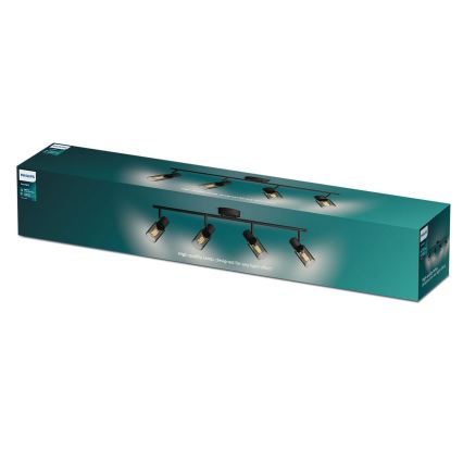 Philips - Kohtvalgusti PALMS 4xE14/25W/230V
