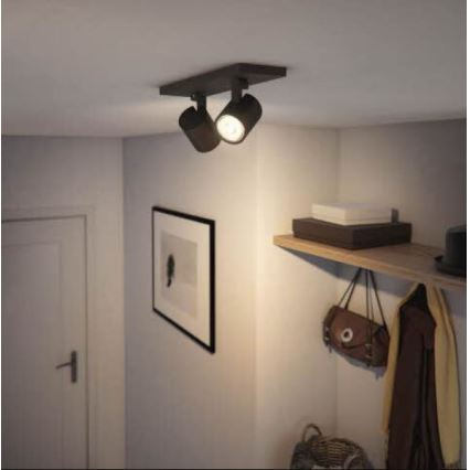 Philips - Kohtvalgusti RUNNER 2xGU10/20W/230V must