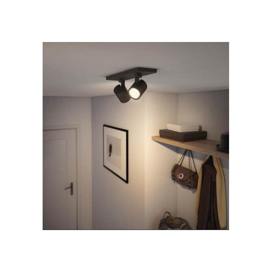 Philips - Kohtvalgusti RUNNER 2xGU10/20W/230V must