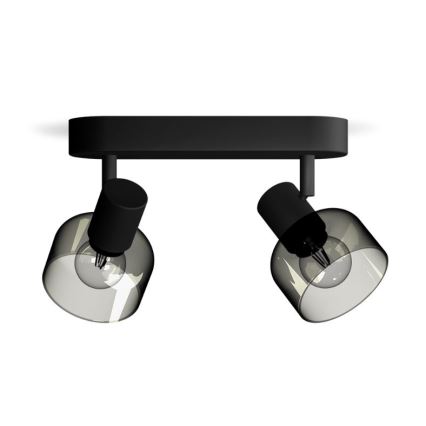 Philips - Kohtvalgusti SLEET 2xE14/25W/230V