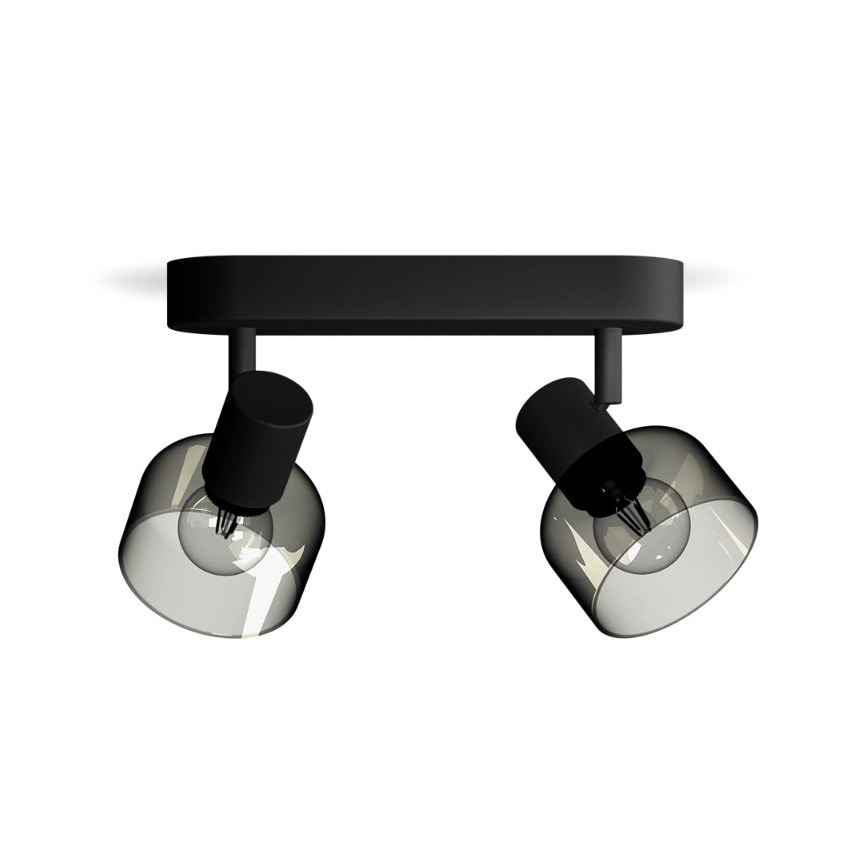 Philips - Kohtvalgusti SLEET 2xE14/25W/230V
