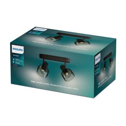 Philips - Kohtvalgusti SLEET 2xE14/25W/230V