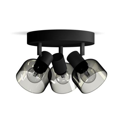 Philips - Kohtvalgusti SLEET 3xE14/25W/230V