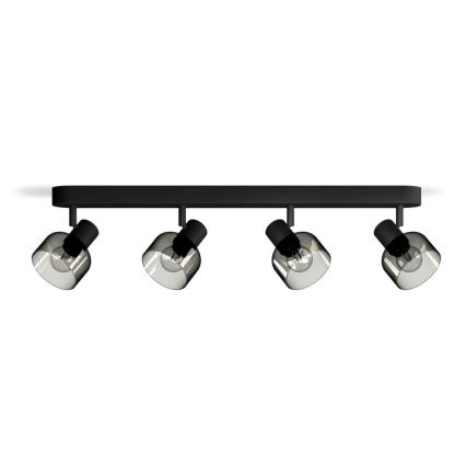 Philips - Kohtvalgusti SLEET 4xE14/25W/230V