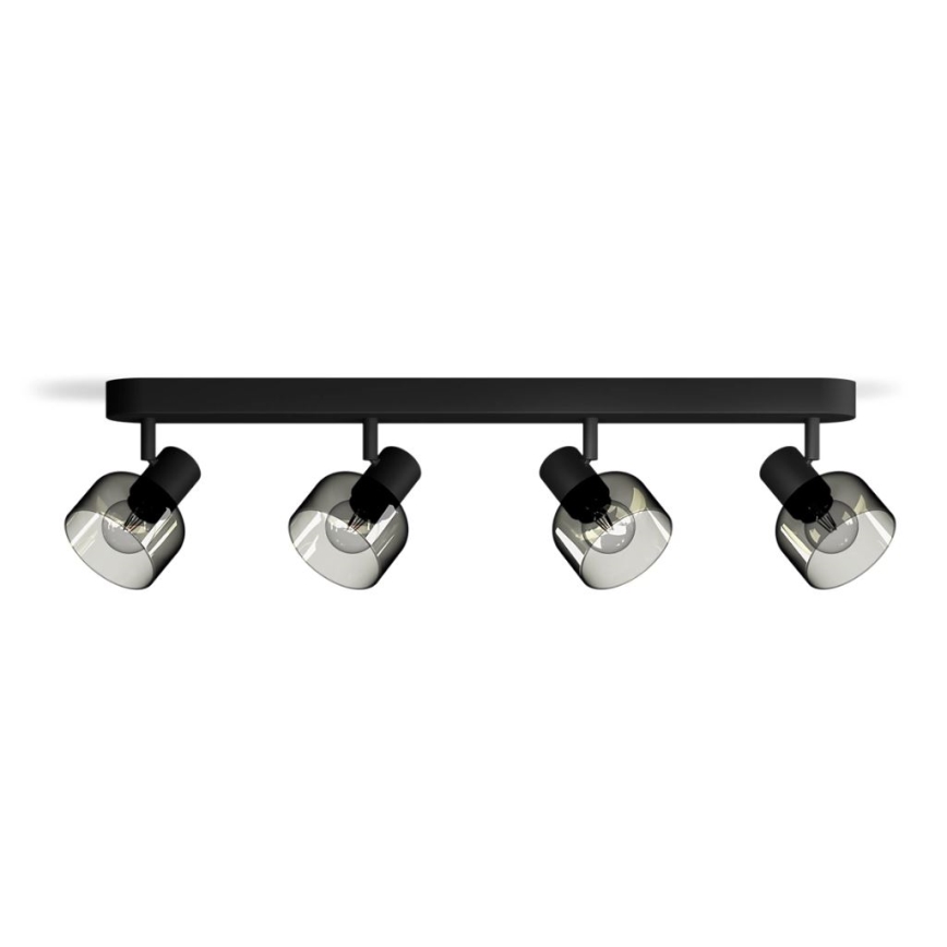 Philips - Kohtvalgusti SLEET 4xE14/25W/230V