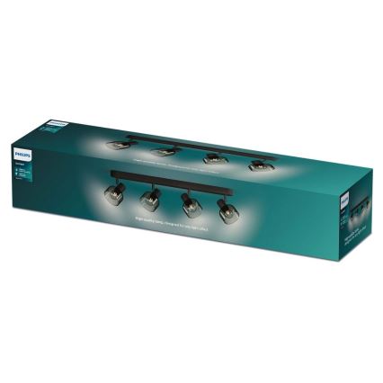 Philips - Kohtvalgusti SLEET 4xE14/25W/230V
