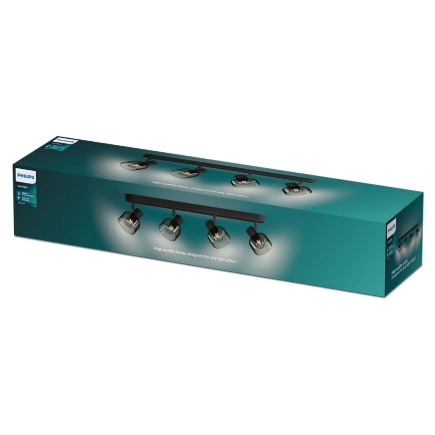 Philips - Kohtvalgusti SLEET 4xE14/25W/230V