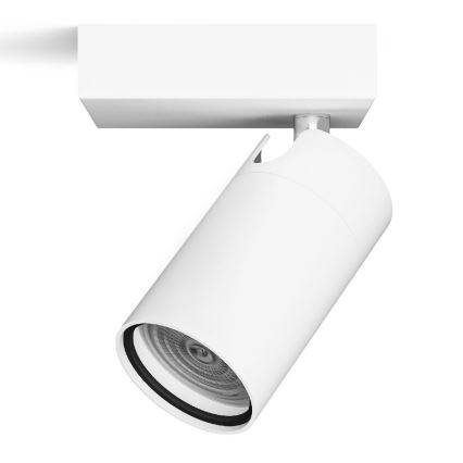 Philips - Kohtvalgusti vannituppa IDRIS 1xGU10/5W/230V IP44 valge
