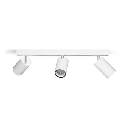 Philips - Kohtvalgusti vannituppa IDRIS 3xGU10/5W/230V IP44 valge