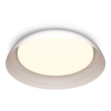 Philips - LED Hämardatav laevalgusti FLETA SCENE SWITCH LED/10W/230V 2700K läbipaistev