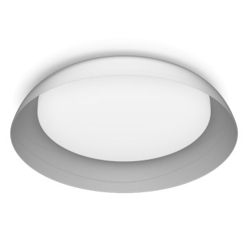 Philips - LED Hämardatav laevalgusti FLETA SCENE SWITCH LED/10W/230V 4000K läbipaistev