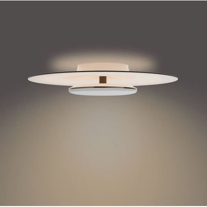 Philips- LED Hämardatav laevalgusti SCENE SWITCH LED/40W/230V 2700K must
