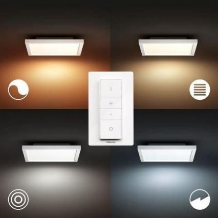 Philips - LED Hämardatav laevalgusti Hue AURELLE LED/19W/230V 2200-6500K + Pult