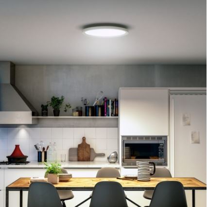 Philips - LED Hämardatav laevalgusti Hue LED/19W/230V 2200-6500K + kaugjuhtimispult