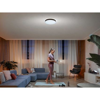 Philips - LED Hämardatav laevalgusti Hue LED/33,5W/230V 2200-6500K d. 425 mm must + kaugjuhtimispult