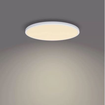 Philips - LED Hämardatav laevalgusti SCENE SWITCH LED/22W/230V d. 40 cm 2700K valge