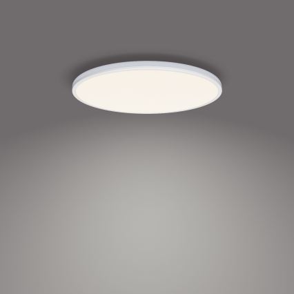 Philips - LED Hämardatav laevalgusti SCENE SWITCH LED/22W/230V d. 40 cm 4000K valge